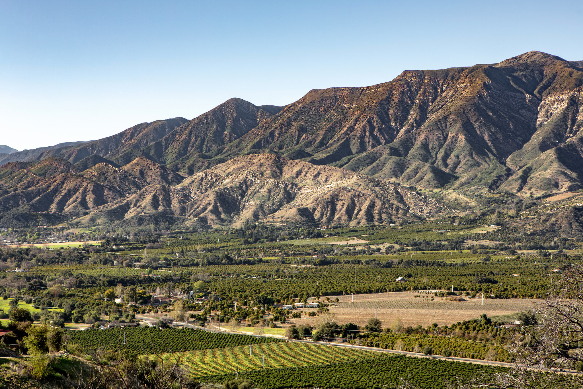 Ojai — valley orchards and pink-moment sunsets